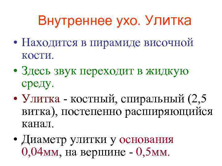 Внутреннее ухо. Улитка • Находится в пирамиде височной кости. • Здесь звук переходит в