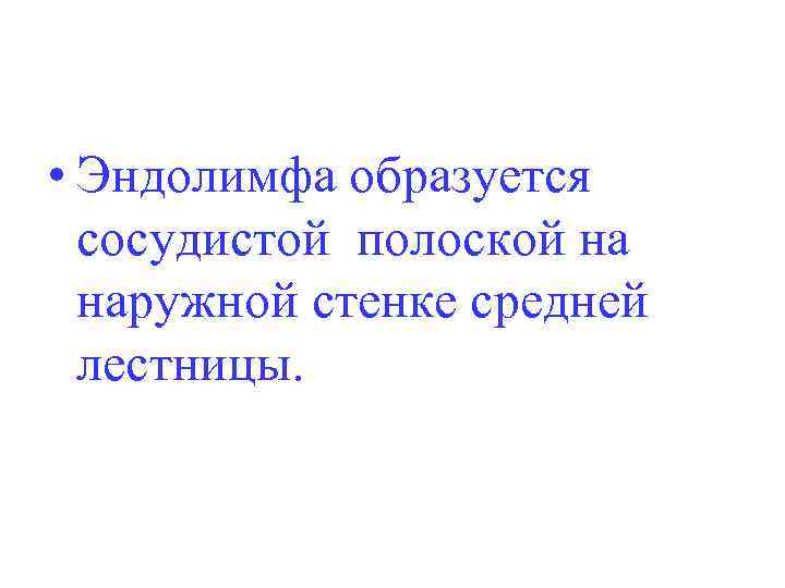  • Эндолимфа образуется сосудистой полоской на наружной стенке средней лестницы. 