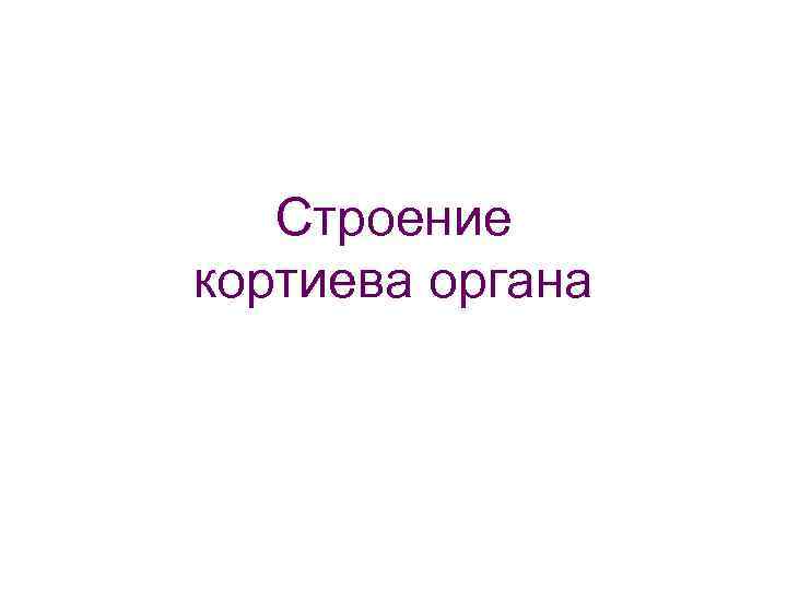 Строение кортиева органа 