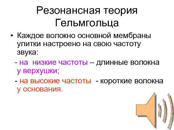 Резонансная теория Гельмгольца • Каждое волокно основной мембраны улитки настроено на свою частоту звука: