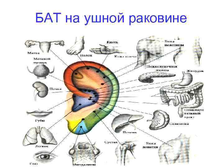 БАТ на ушной раковине 