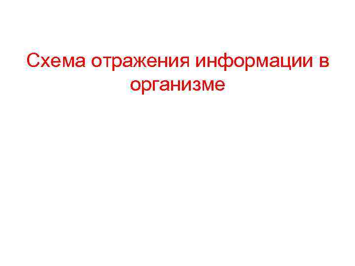 Схема отражения информации в организме 