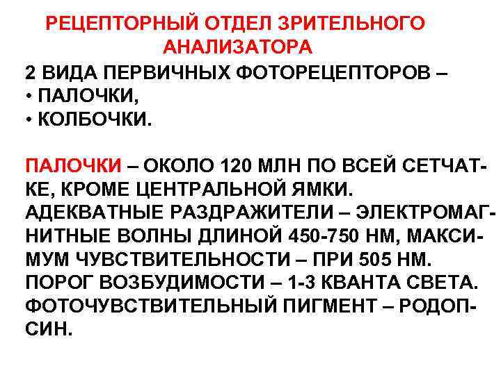 РЕЦЕПТОРНЫЙ ОТДЕЛ ЗРИТЕЛЬНОГО АНАЛИЗАТОРА 2 ВИДА ПЕРВИЧНЫХ ФОТОРЕЦЕПТОРОВ – • ПАЛОЧКИ, • КОЛБОЧКИ. ПАЛОЧКИ