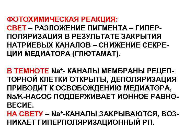 ФОТОХИМИЧЕСКАЯ РЕАКЦИЯ: СВЕТ – РАЗЛОЖЕНИЕ ПИГМЕНТА – ГИПЕРПОЛЯРИЗАЦИЯ В РЕЗУЛЬТАТЕ ЗАКРЫТИЯ НАТРИЕВЫХ КАНАЛОВ –