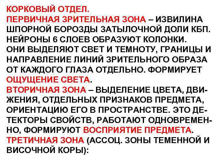 КОРКОВЫЙ ОТДЕЛ. ПЕРВИЧНАЯ ЗРИТЕЛЬНАЯ ЗОНА – ИЗВИЛИНА ШПОРНОЙ БОРОЗДЫ ЗАТЫЛОЧНОЙ ДОЛИ КБП. НЕЙРОНЫ 6