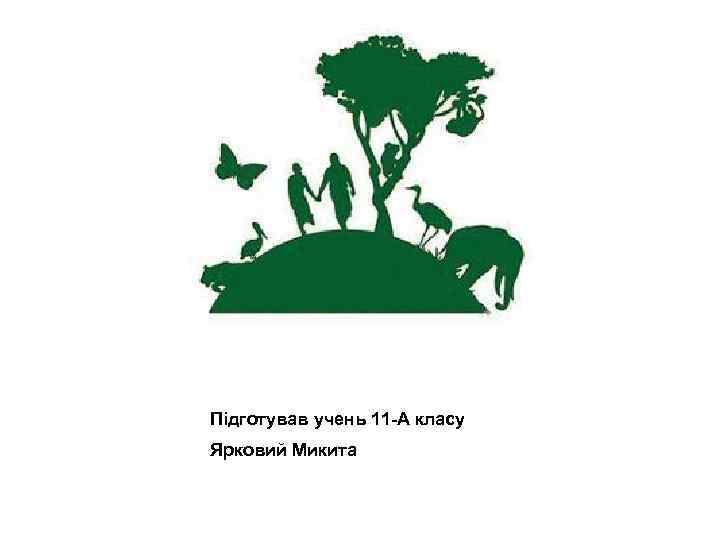 Підготував учень 11 -А класу Ярковий Микита 