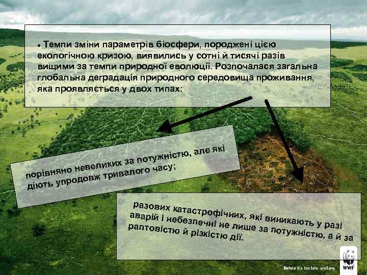 Темпи зміни параметрів біосфери, породжені цією екологічною кризою, виявились у coтнi й тисячі разів