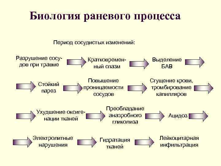 Биология раневого процесса Период сосудистых изменений: Разрушение сосудов при травме Стойкий парез Кратковременный спазм