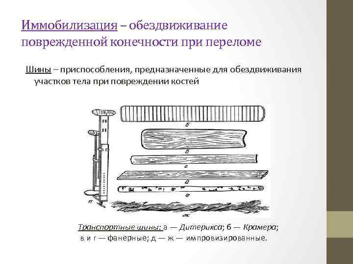 Иммобилизация – обездвиживание поврежденной конечности при переломе Шины – приспособления, предназначенные для обездвиживания участков