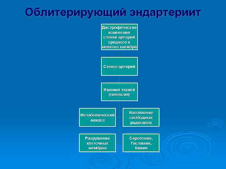 Облитерирующий эндартериит Дистрофические изменения стенки артерий среднего и мелкого калибра Стеноз артерий Ишемия тканей