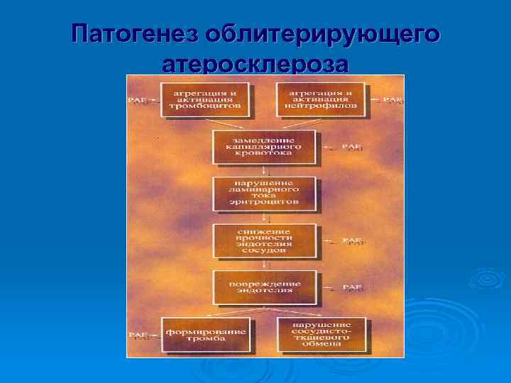 Патогенез облитерирующего атеросклероза 