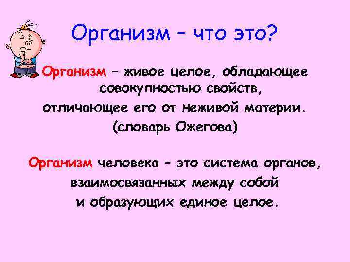 Организм – что это? Организм – живое целое, обладающее совокупностью свойств, отличающее его от