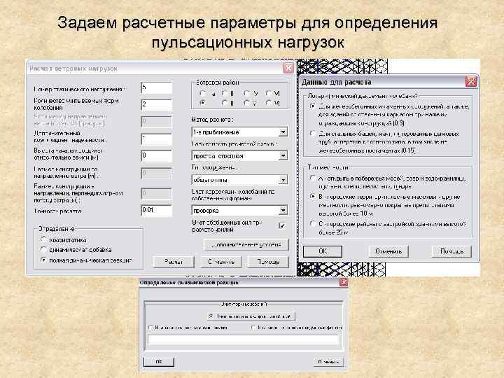 Задаем расчетные параметры для определения пульсационных нагрузок 