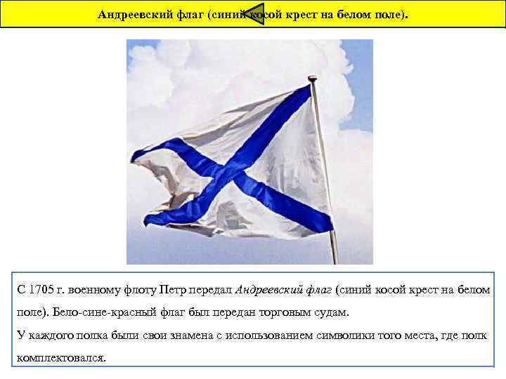 Андреевский флаг (синий косой крест на белом поле). С 1705 г. военному флоту Петр