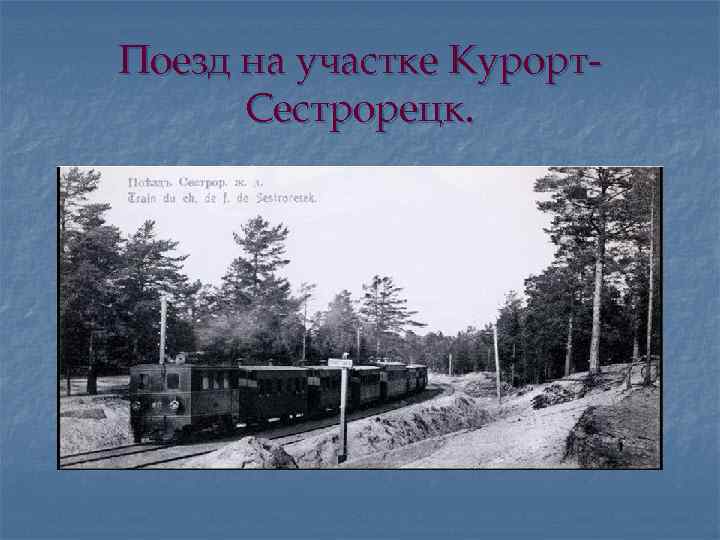 Поезд на участке Курорт. Сестрорецк. 