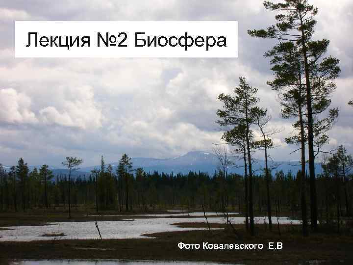 Лекция № 2 Биосфера Фото Ковалевского Е. В 