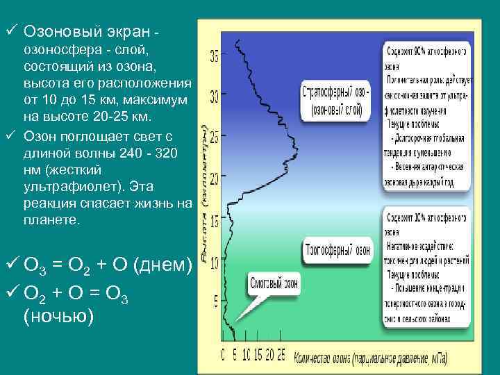 ü Озоновый экран озоносфера слой, состоящий из озона, высота его расположения от 10 до