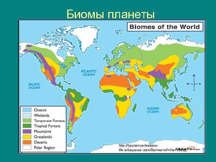 Биомы планеты http: //tisscience lessons life. wikispaces. com/Biomes+of+the+World 