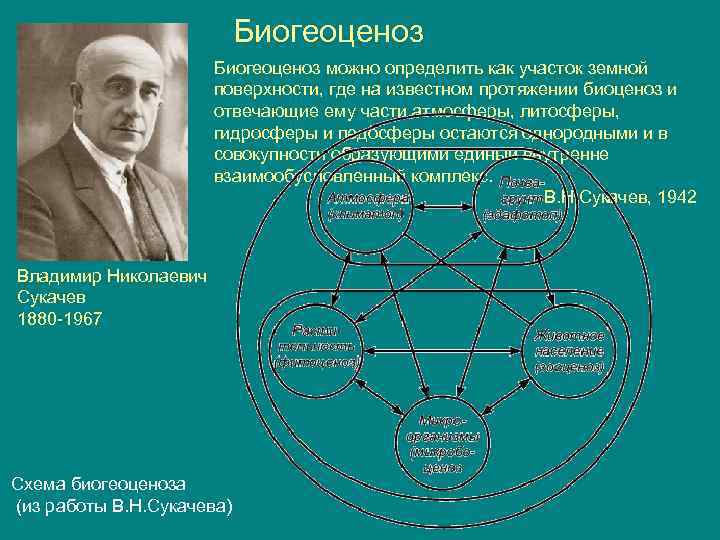 План экскурсии в биогеоценозе