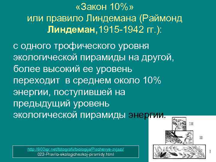  «Закон 10%» или правило Линдемана (Раймонд Линдеман, 1915 1942 гг. ): с одного