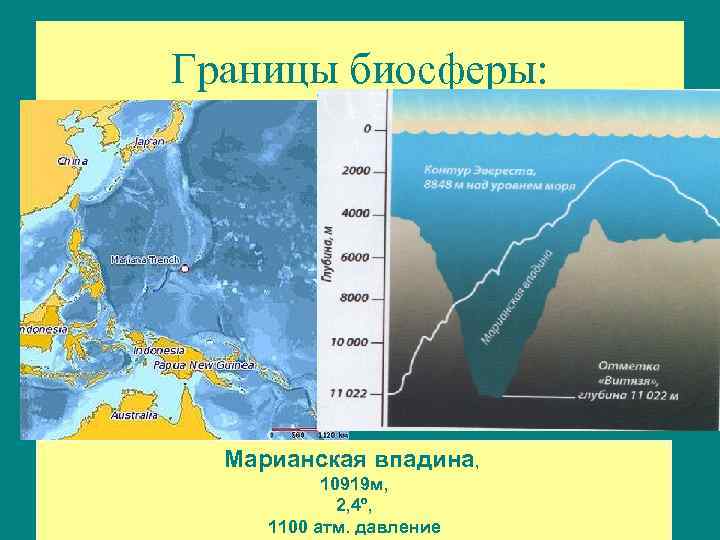 Границы биосферы: Марианская впадина, 10919 м, 2, 4º, 1100 атм. давление 