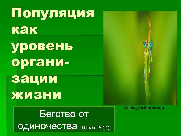 Популяция как уровень организации жизни Бегство от одиночества (Панов, 2014). Серж Домбровский 
