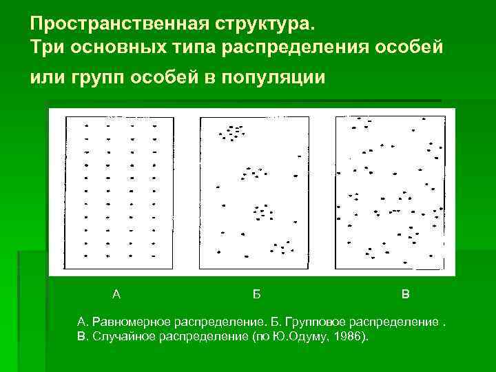 Структура популяции