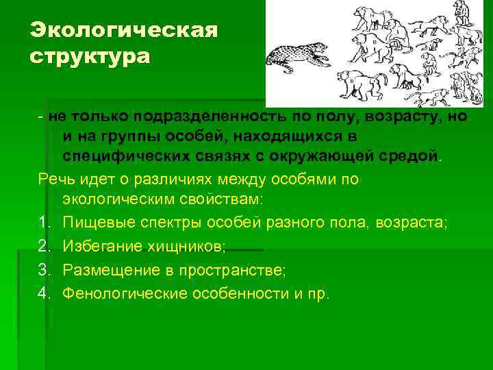 Группу особей данного. Экологическая структура. Популяционная подразделенность. Структура окружающей среды условно может быть разделена на.