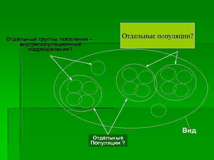 Вид как система популяций презентация 11 класс