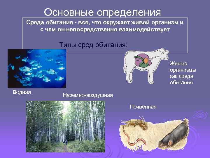 Искусственная среда обитания создаваемая человеком