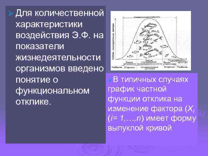 Ø Для количественной характеристики воздействия Э. Ф. на показатели жизнедеятельности организмов введено ØВ типичных