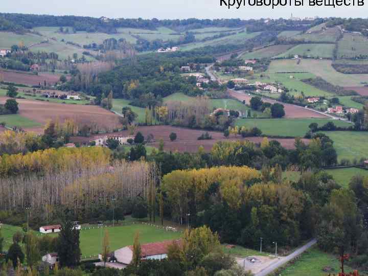 Круговороты веществ 