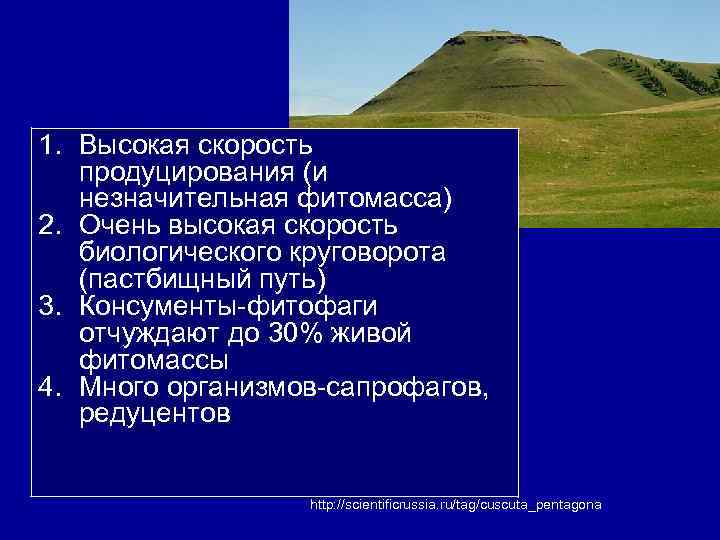 1. Высокая скорость продуцирования (и незначительная фитомасса) 2. Очень высокая скорость биологического круговорота (пастбищный