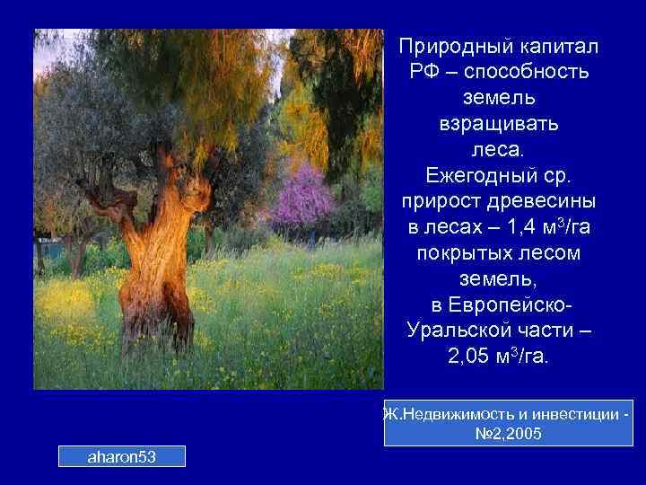 Природный капитал РФ – способность земель взращивать леса. Ежегодный ср. прирост древесины в лесах