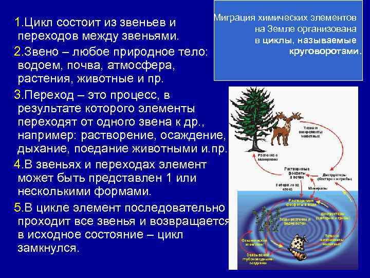 Миграция биогенных элементов. Миграция химических элементов. Миграция химических элементов в почвах. Миграция химических элементов в биосфере.