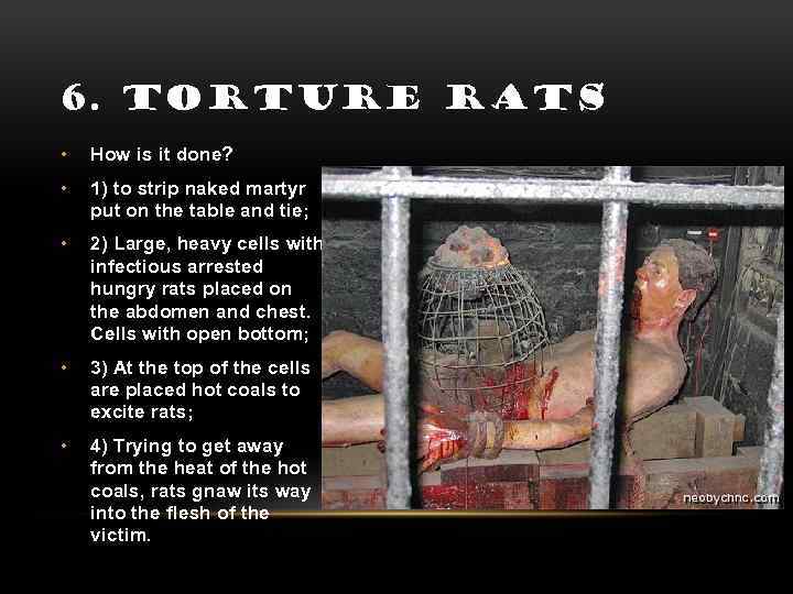 6. TORTURE RATS • How is it done? • 1) to strip naked martyr