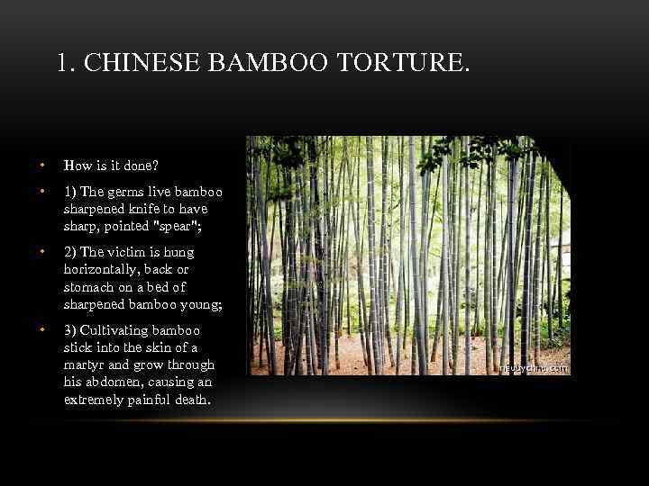 1. CHINESE BAMBOO TORTURE. • How is it done? • 1) The germs live