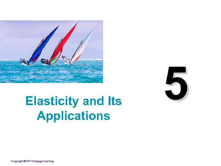 Elasticity and Its Applications Copyright © 2011 Cengage Learning 5 