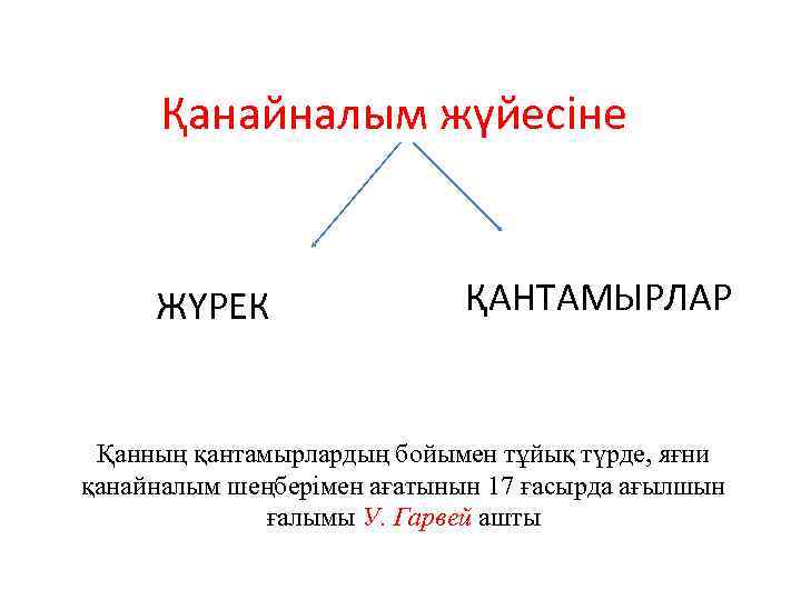 Қанайналым жүйесіне ЖҮРЕК ҚАНТАМЫРЛАР Қанның қантамырлардың бойымен тұйық түрде, яғни қанайналым шеңберімен ағатынын 17