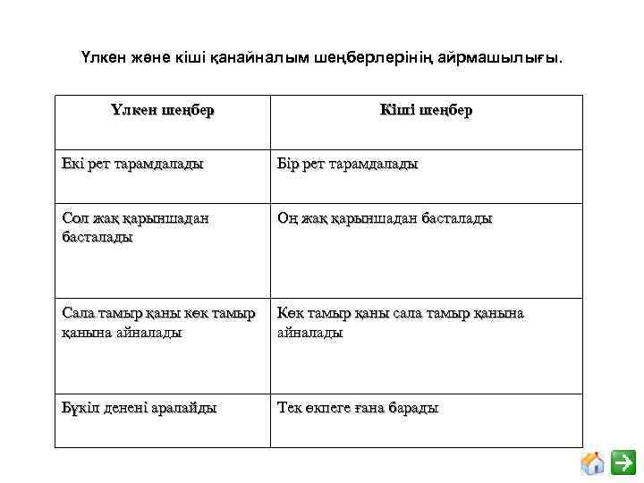 Үлкен және кіші қанайналым шеңберлерінің айрмашылығы. Үлкен шеңбер Кіші шеңбер Екі рет тарамдалады Бір