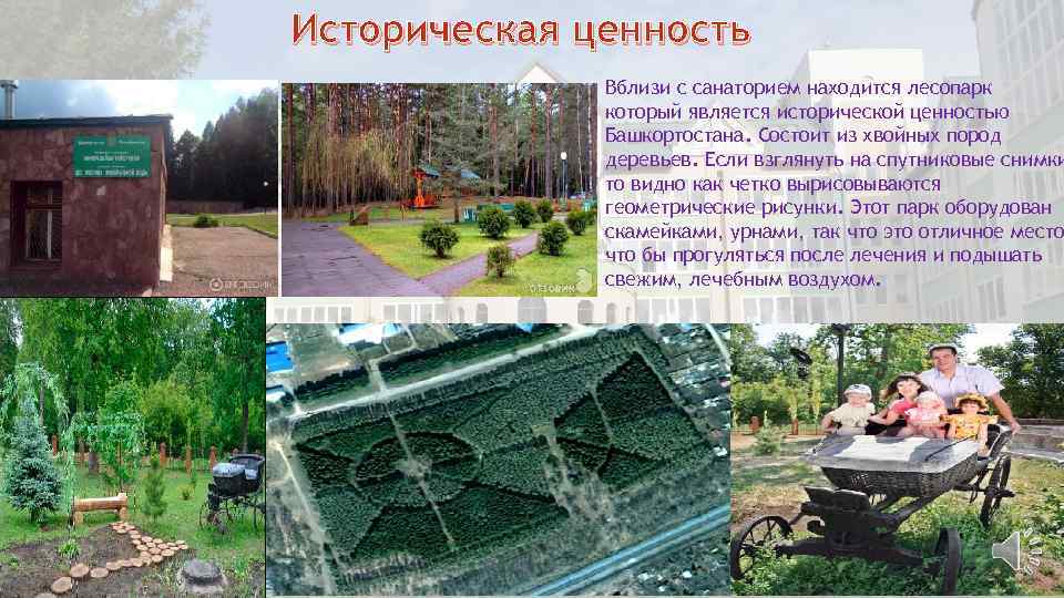 Историческая ценность Вблизи с санаторием находится лесопарк который является исторической ценностью Башкортостана. Состоит из