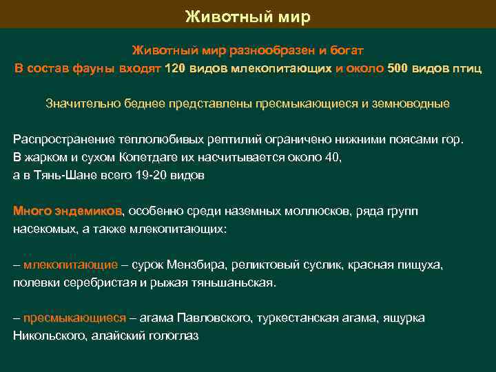 Животный мир разнообразен и богат В состав фауны входят 120 видов млекопитающих и около