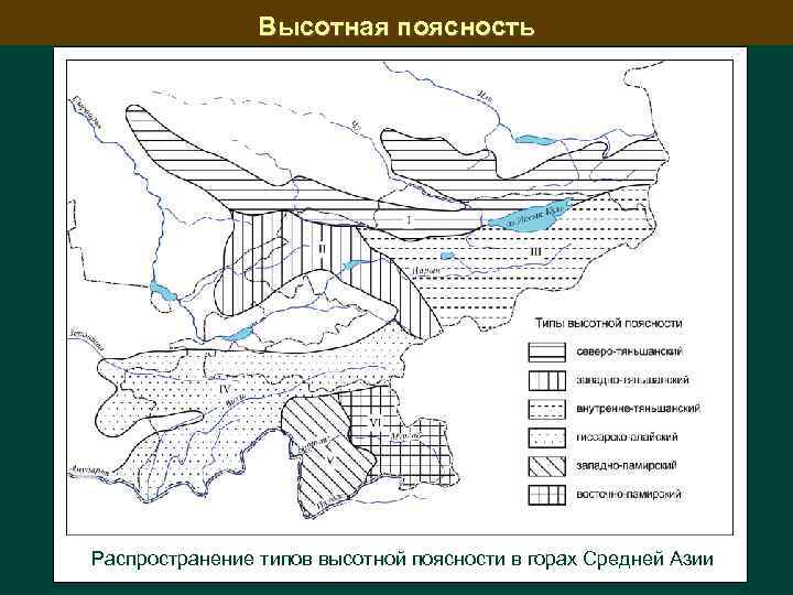Высотная поясность Распространение типов высотной поясности в горах Средней Азии 