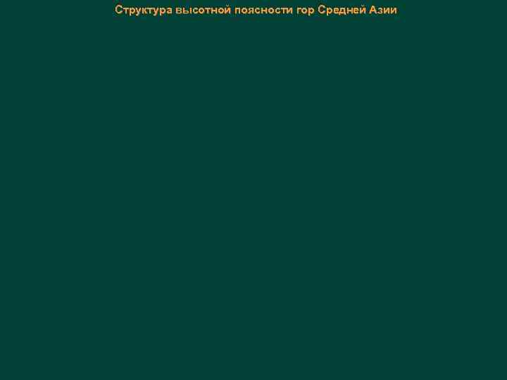 Структура высотной поясности гор Средней Азии 