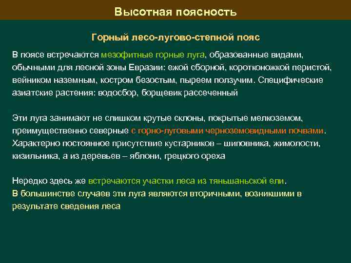 Высотная поясность Горный лесо-лугово-степной пояс В поясе встречаются мезофитные горные луга, образованные видами, обычными
