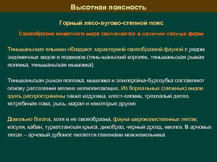 Высотная поясность Горный лесо-лугово-степной пояс Своеобразие животного мира заключается в наличии лесных форм Тяньшаньские