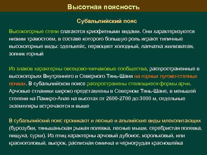 Высотная поясность Субальпийский пояс Высокогорные степи слагаются криофитными видами. Они характеризуются низким травостоем, в