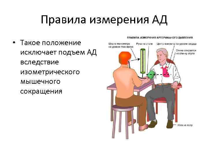 Правила измерения АД • Такое положение исключает подъем АД вследствие изометрического мышечного сокращения 