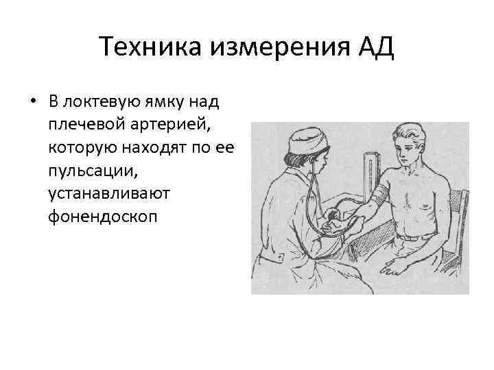 Техника измерения АД • В локтевую ямку над плечевой артерией, которую находят по ее
