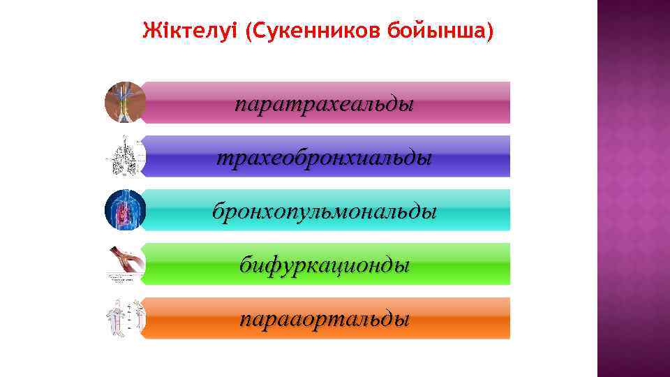 Жіктелуі (Сукенников бойынша)) паратрахеальды трахеобронхиальды бронхопульмональды бифуркационды парааортальды 